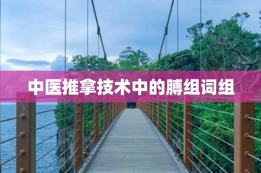 中医推拿技术中的膊组词组