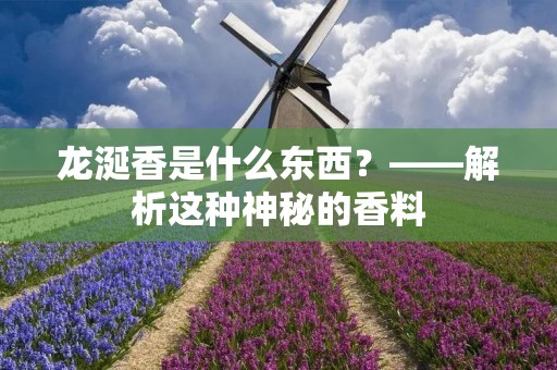 龙涎香是什么东西?——解析这种神秘的香料