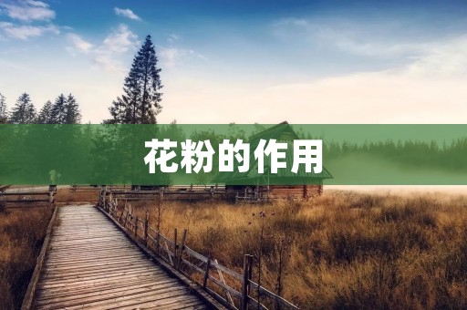 花粉的作用