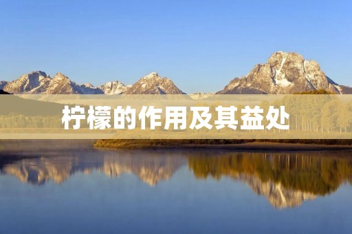 柠檬的作用及其益处