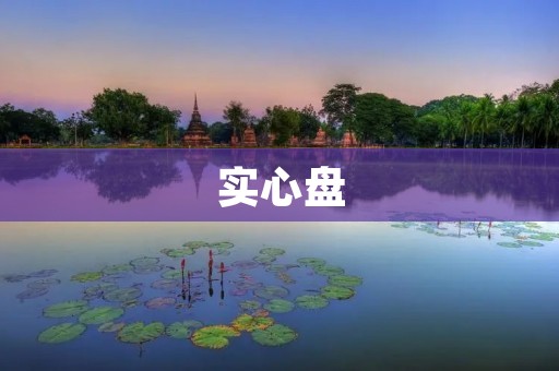 实心盘：全新的数据存储方式