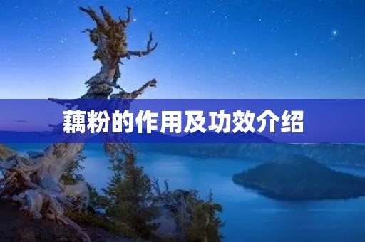 藕粉的作用及功效介绍 藕粉的作用及功效介绍