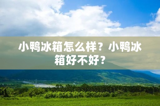 小鸭冰箱怎么样?小鸭冰箱好不好? 小鸭冰箱怎么样?小鸭冰箱好不好?