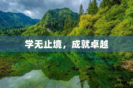 学无止境，成就卓越