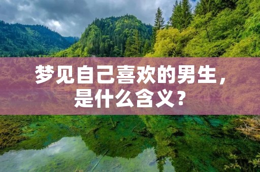 梦见自己喜欢的男生，是什么含义？