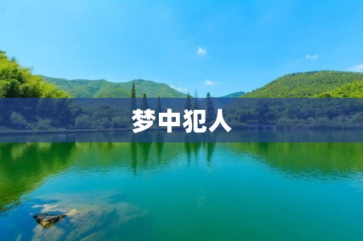 梦中犯人：如何解读梦境中的恐惧