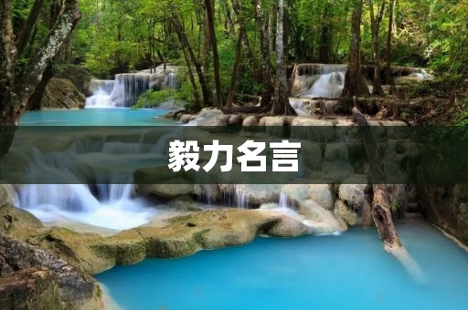 毅力名言：坚持不懈，才能成功