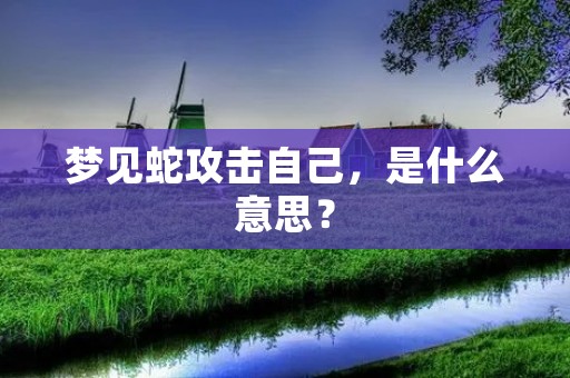 梦见蛇攻击自己，是什么意思？