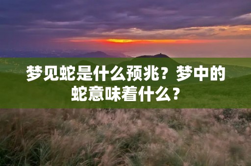 梦见蛇是什么预兆？梦中的蛇意味着什么？
