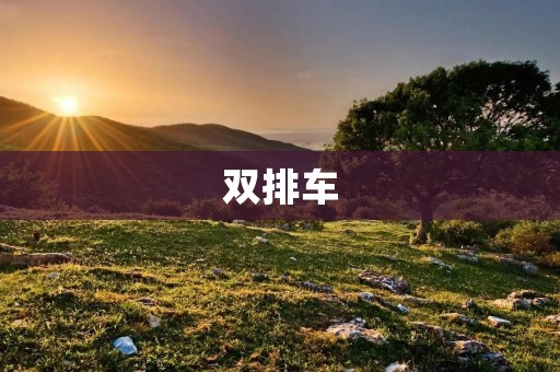双排车：为什么越来越受欢迎？