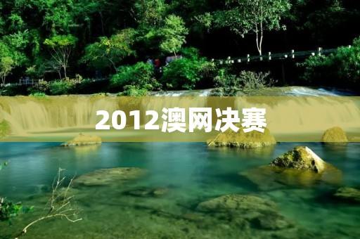 2012澳网决赛:德约科维奇夺得男单冠军 2012澳网决赛:德约科维奇夺得男单冠军