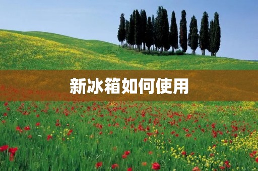 新冰箱如何使用 新冰箱如何使用