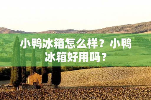 小鸭冰箱怎么样?小鸭冰箱好用吗? 小鸭冰箱怎么样?小鸭冰箱好用吗?