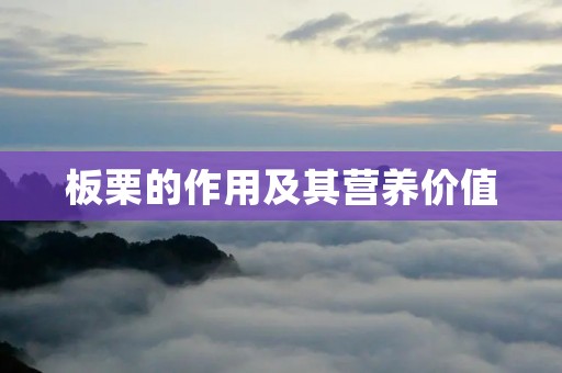 板栗的作用及其营养价值