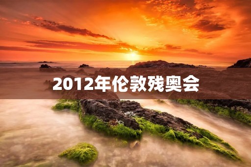 2012年伦敦残奥会:超越极限,挑战自我 2012年伦敦残奥会:超越极限,挑战自我