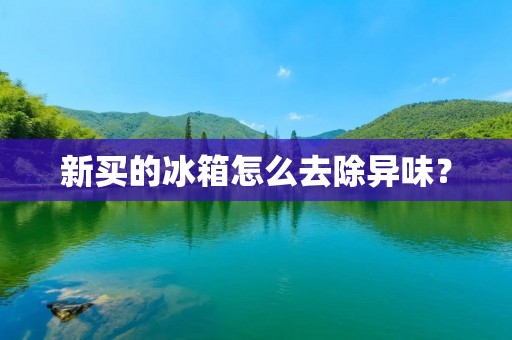 新买的冰箱怎么去除异味? 新买的冰箱怎么去除异味?