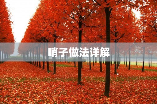 哨子做法详解
