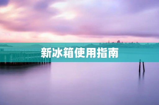 新冰箱使用指南:如何正确使用您的新冰箱 新冰箱使用指南:如何正确使用您的新冰箱