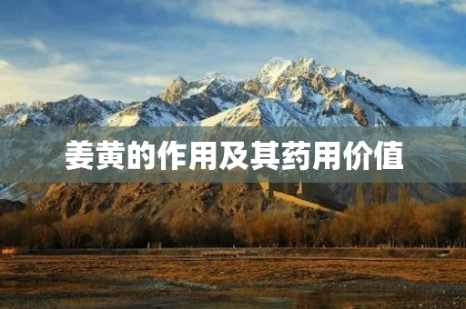姜黄的作用及其药用价值 姜黄的作用及其药用价值