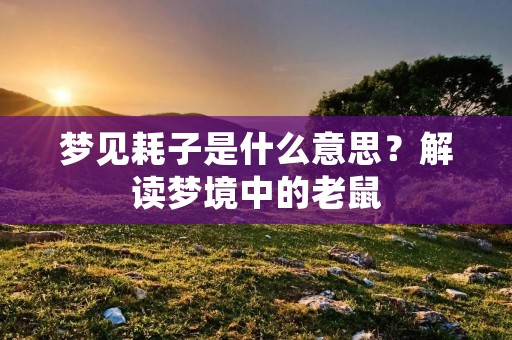 梦见耗子是什么意思？解读梦境中的老鼠