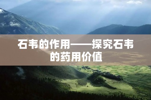 石韦的作用——探究石韦的药用价值 石韦的作用——探究石韦的药用价值