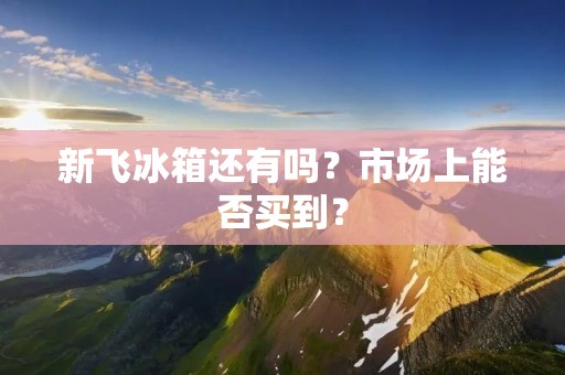 新飞冰箱还有吗?市场上能否买到? 新飞冰箱还有吗?市场上能否买到?