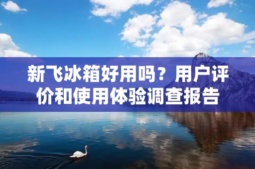 新飞冰箱好用吗?用户评价和使用体验调查报告 新飞冰箱好用吗?用户评价和使用体验调查报告