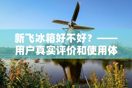 新飞冰箱好不好?——用户真实评价和使用体验 新飞冰箱好不好?——用户真实评价和使用体验