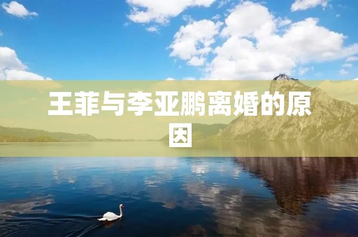 王菲与李亚鹏离婚的原因：婚姻破裂与价值观不合