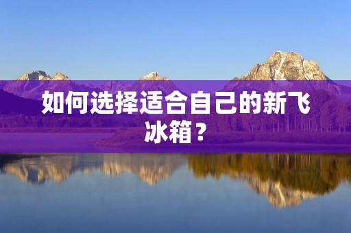 如何选择适合自己的新飞冰箱? 如何选择适合自己的新飞冰箱?