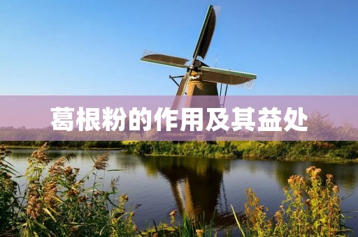 葛根粉的作用及其益处