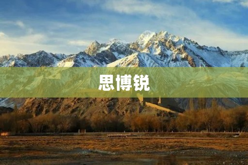 思博锐：专业的信息技术服务提供商