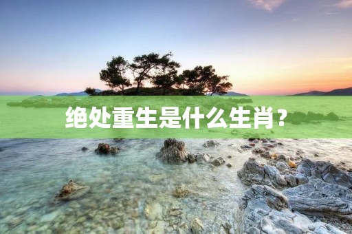 绝处重生是什么生肖？