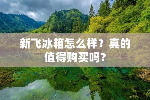 新飞冰箱怎么样?真的值得购买吗? 新飞冰箱怎么样?真的值得购买吗?