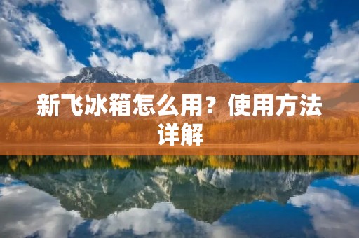 新飞冰箱怎么用?使用方法详解 新飞冰箱怎么用?使用方法详解