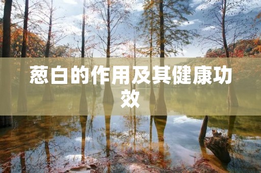 葱白的作用及其健康功效