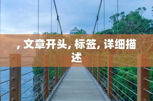 , 文章开头, 标签, 详细描述 , 文章开头, 标签, 详细描述