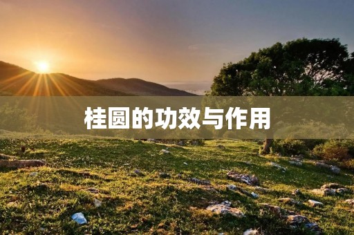 桂圆的功效与作用 桂圆的功效与作用