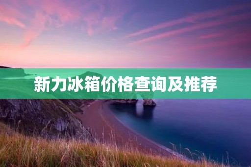 新力冰箱价格查询及推荐 新力冰箱价格查询及推荐