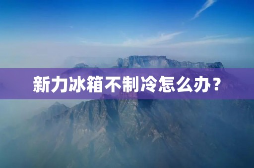 新力冰箱不制冷怎么办？