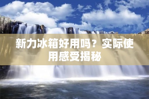 新力冰箱好用吗?实际使用感受揭秘 新力冰箱好用吗?实际使用感受揭秘