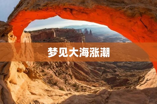 梦见大海涨潮：暗示你的内心正在经历波动
