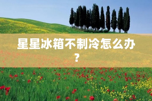 星星冰箱不制冷怎么办? 星星冰箱不制冷怎么办?