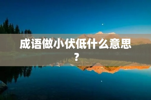 成语做小伏低什么意思？