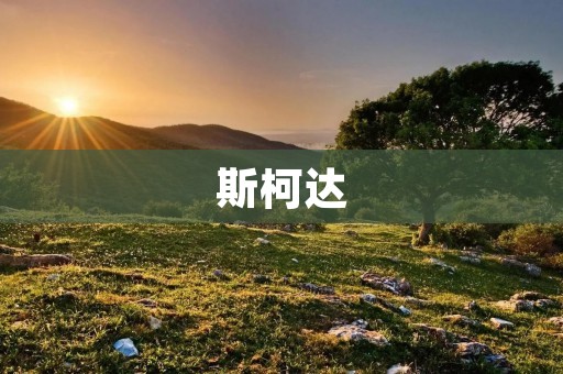 斯柯达:打造高品质家用轿车的领先品牌