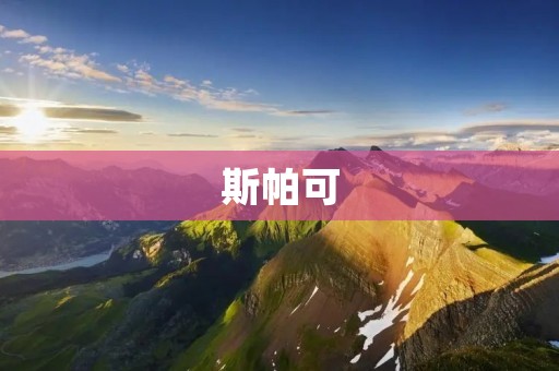斯帕可：全球领先的温度控制解决方案提供商