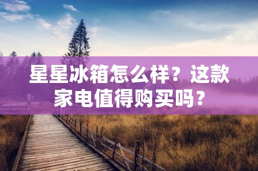 星星冰箱怎么样?这款家电值得购买吗? 星星冰箱怎么样?这款家电值得购买吗?