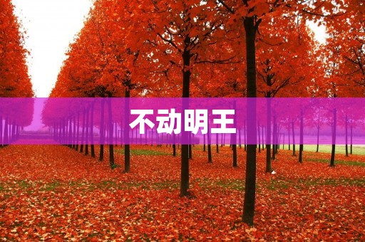 不动明王:佛教中的**神 不动明王:佛教中的**神