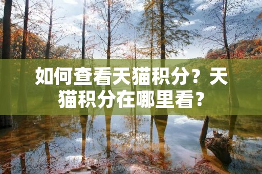 如何查看天猫积分?天猫积分在哪里看? 如何查看天猫积分?天猫积分在哪里看?