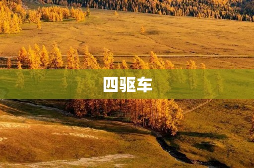 四驱车:越野行驶的最佳选择 四驱车:越野行驶的最佳选择